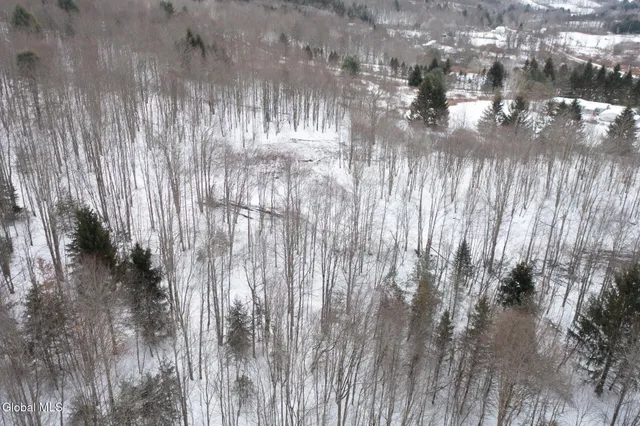 $60,000 | L3.7 Pine Swamp Road, Sidney Center, NY 13839