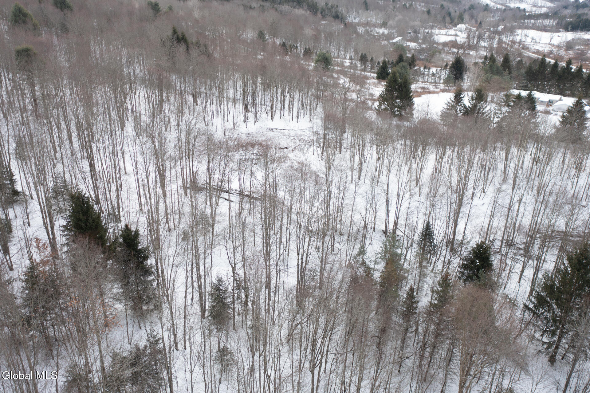 L3.7 Pine Swamp Road Sidney Center, NY 13839 - Photo 6 of 28 PineSwampRd-25