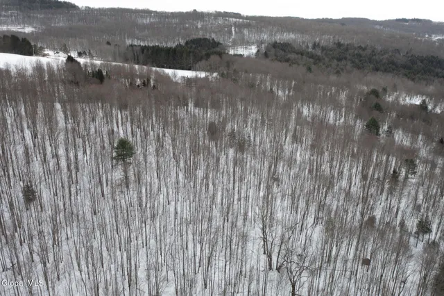 $60,000 | L3.7 Pine Swamp Road, Sidney Center, NY 13839