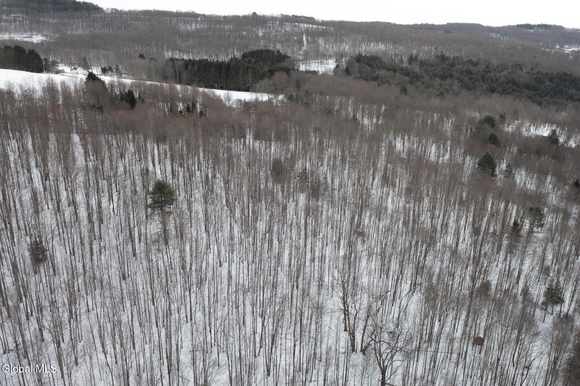 L3.7 Pine Swamp Road Sidney Center, NY 13839 - Photo 7 of 28 PineSwampRd-24