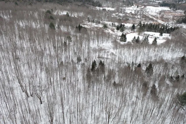 $60,000 | L3.7 Pine Swamp Road, Sidney Center, NY 13839