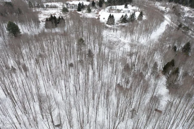 $60,000 | L3.7 Pine Swamp Road, Sidney Center, NY 13839