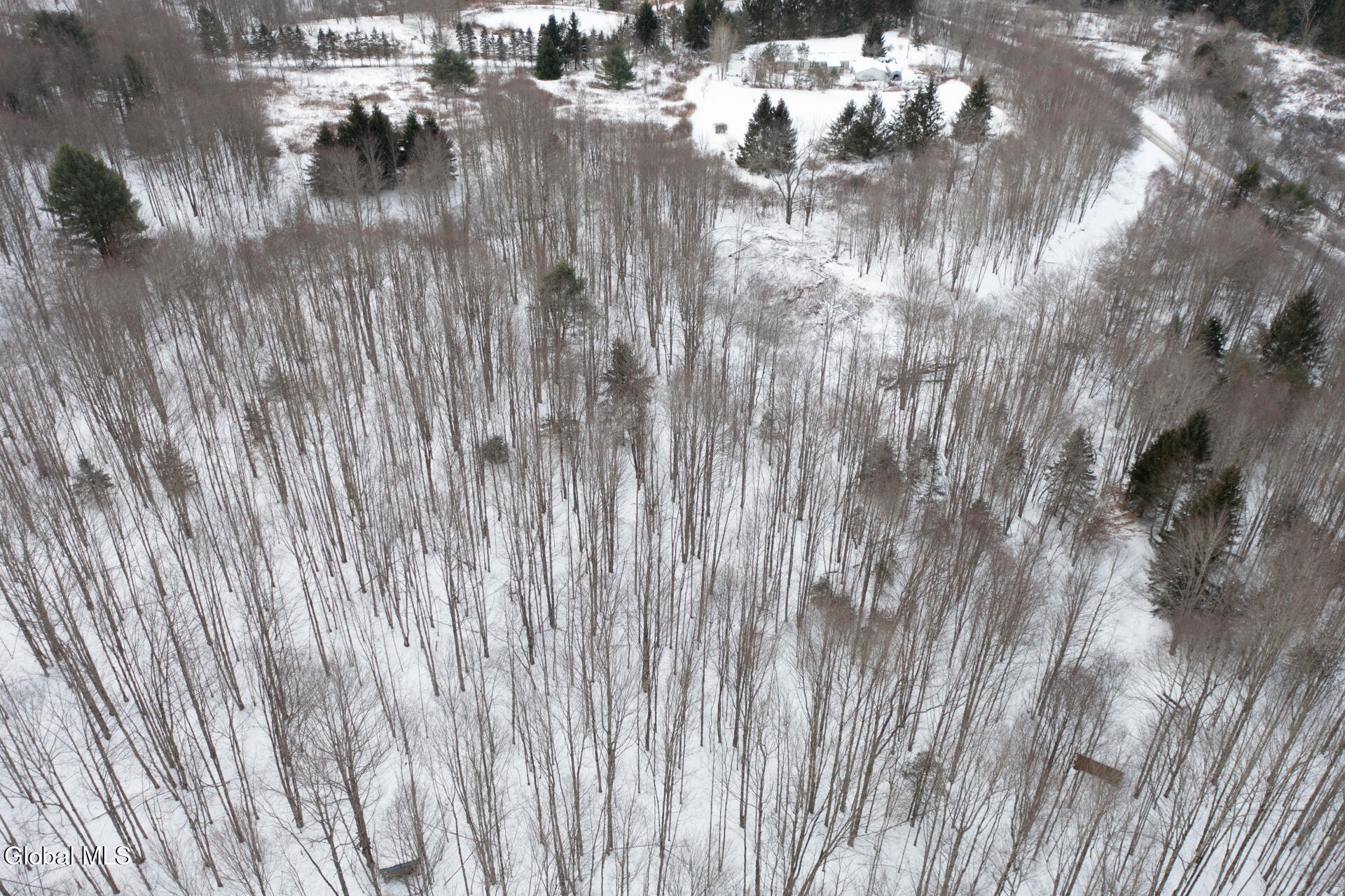 L3.7 Pine Swamp Road Sidney Center, NY 13839 - Photo 9 of 28 PineSwampRd-22