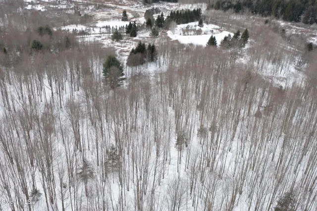 $60,000 | L3.7 Pine Swamp Road, Sidney Center, NY 13839