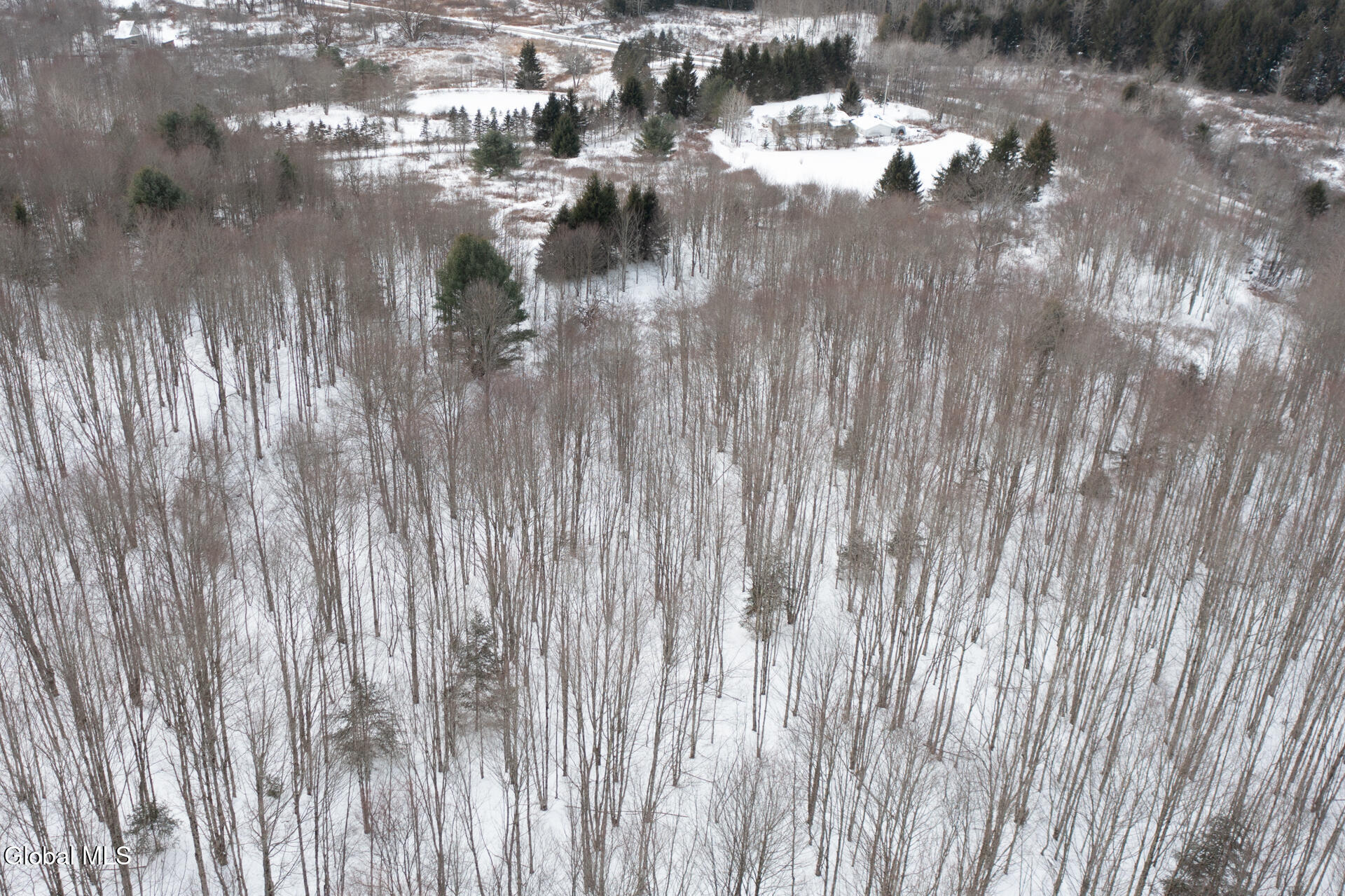 L3.7 Pine Swamp Road Sidney Center, NY 13839 - Photo 10 of 28 PineSwampRd-21