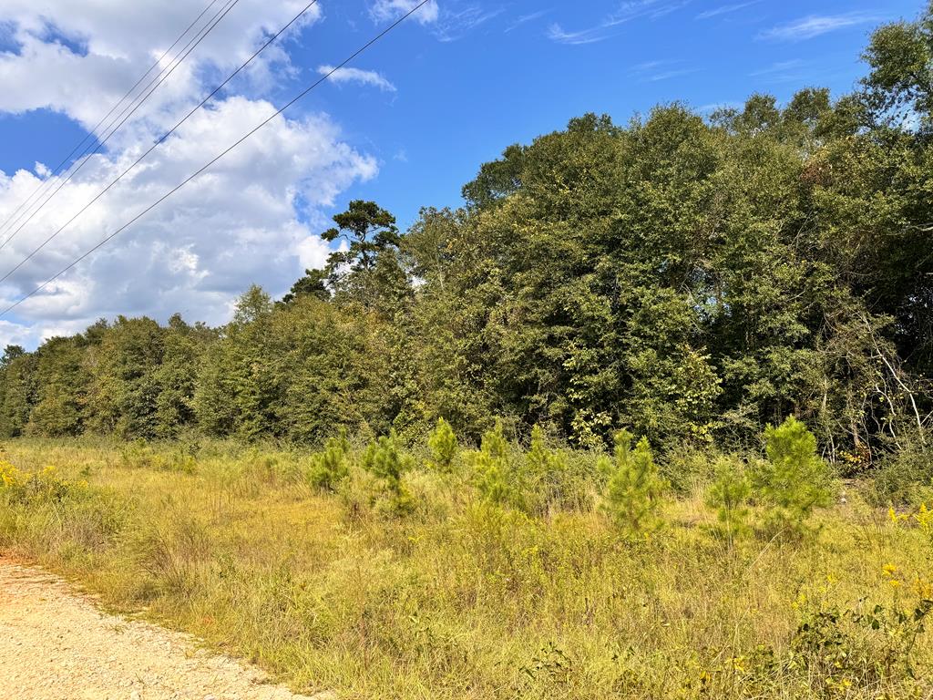 0 Hwy 123 & Co Road Ozark, AL 36360 - Photo 1 of 4 Main View