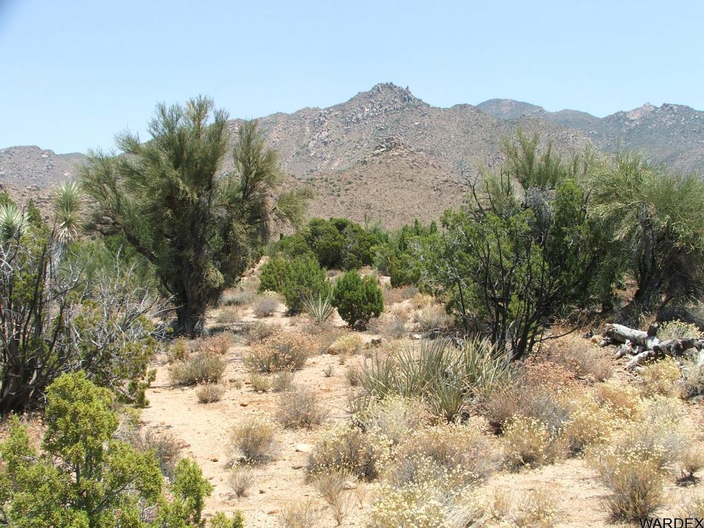Lot 3279 South Cattle Crossing Road Yucca, AZ 86438 - Photo 11 of 18 Additional Photo