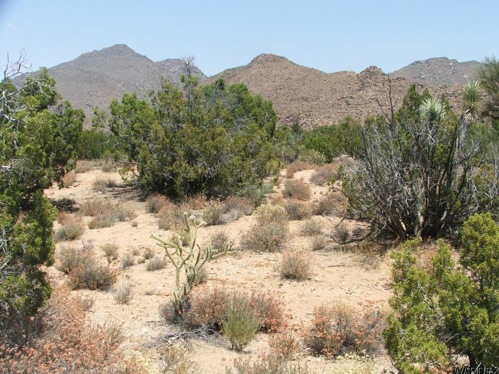 Lot 3279 South Cattle Crossing Road Yucca, AZ 86438 - Photo 12 of 18 Additional Photo
