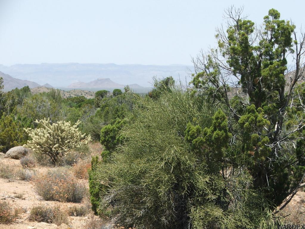 Lot 3279 South Cattle Crossing Road Yucca, AZ 86438 - Photo 14 of 18 Additional Photo