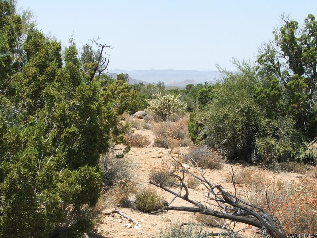 Lot 3279 South Cattle Crossing Road Yucca, AZ 86438 - Photo 16 of 18 Additional Photo