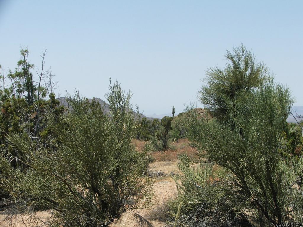 Lot 3279 South Cattle Crossing Road Yucca, AZ 86438 - Photo 17 of 18 Additional Photo