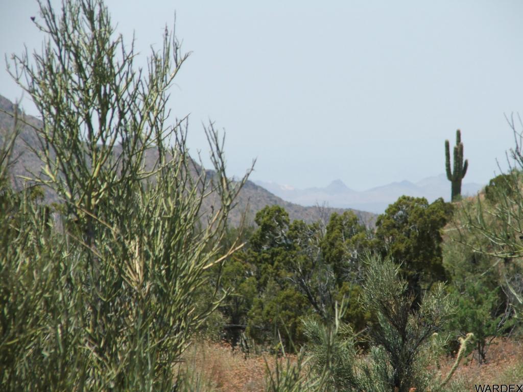 Lot 3279 South Cattle Crossing Road Yucca, AZ 86438 - Photo 18 of 18 Additional Photo
