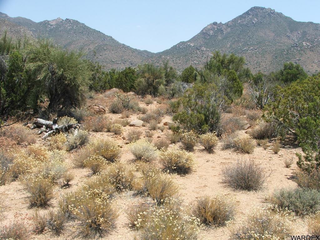 Lot 3279 South Cattle Crossing Road Yucca, AZ 86438 - Photo 2 of 18 Additional Photo