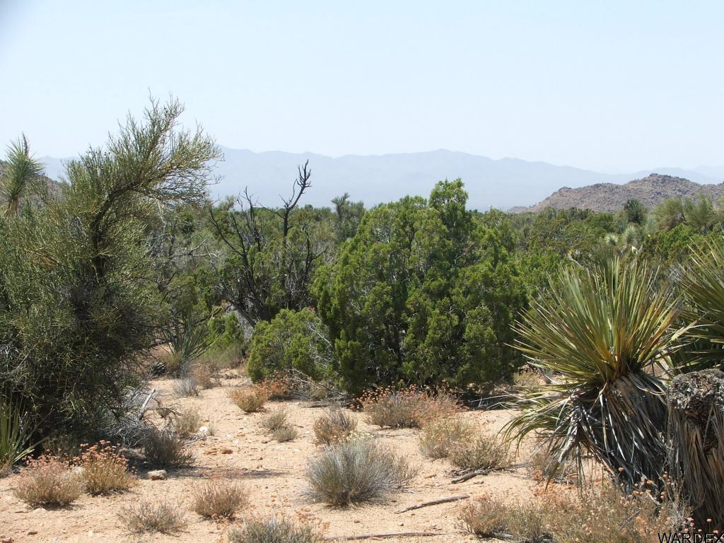 Lot 3279 South Cattle Crossing Road Yucca, AZ 86438 - Photo 3 of 18 Additional Photo