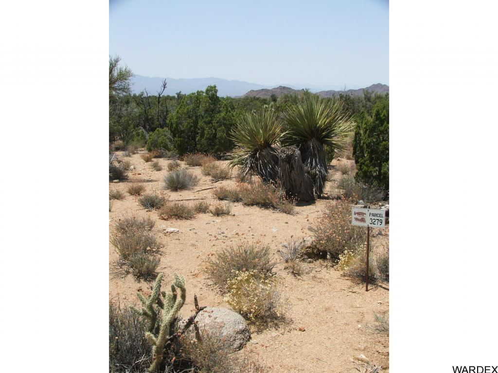 Lot 3279 South Cattle Crossing Road Yucca, AZ 86438 - Photo 4 of 18 Additional Photo