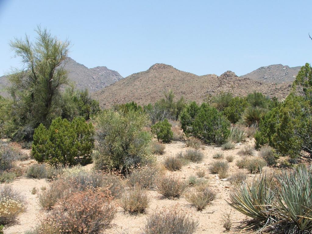 Lot 3279 South Cattle Crossing Road Yucca, AZ 86438 - Photo 5 of 18 Additional Photo