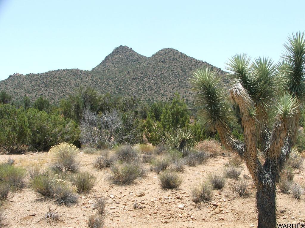 Lot 3279 South Cattle Crossing Road Yucca, AZ 86438 - Photo 6 of 18 Additional Photo