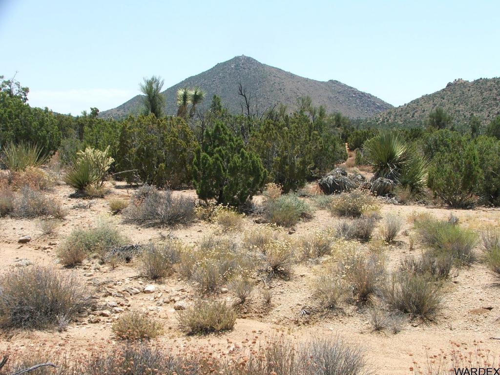 Lot 3279 South Cattle Crossing Road Yucca, AZ 86438 - Photo 7 of 18 Additional Photo