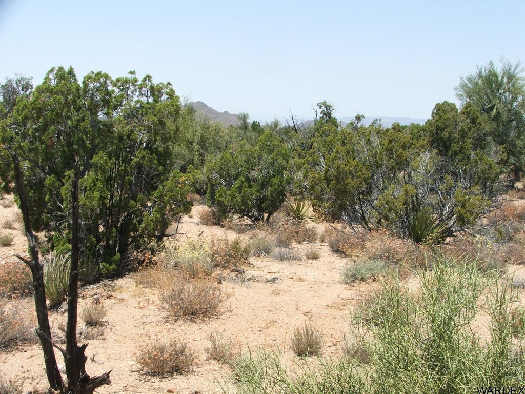 Lot 3279 South Cattle Crossing Road Yucca, AZ 86438 - Photo 8 of 18 Additional Photo