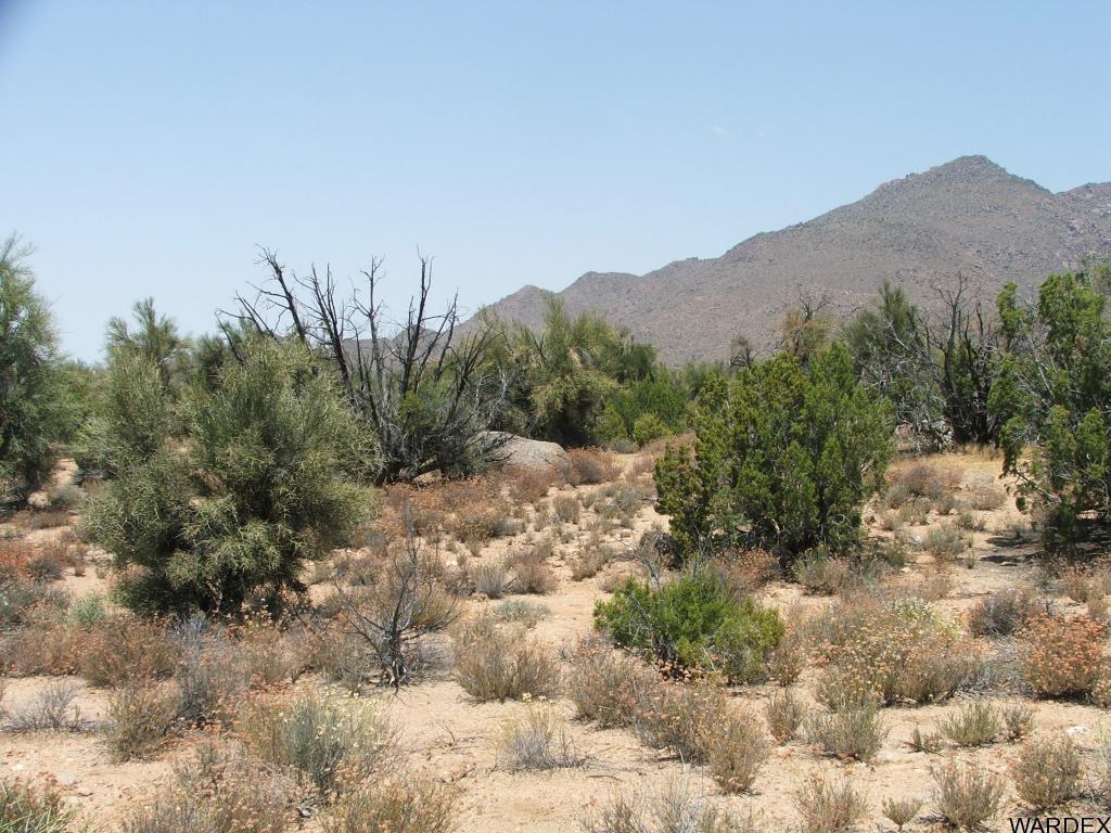 Lot 3279 South Cattle Crossing Road Yucca, AZ 86438 - Photo 9 of 18 Additional Photo