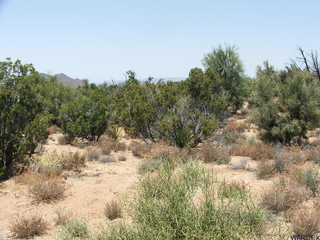 Lot 3279 South Cattle Crossing Road Yucca, AZ 86438 - Photo 10 of 18 Additional Photo