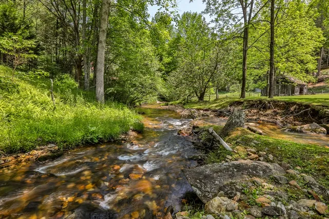 $755,000 | 13111 Big Creek Road, Cherry Log, GA 30522