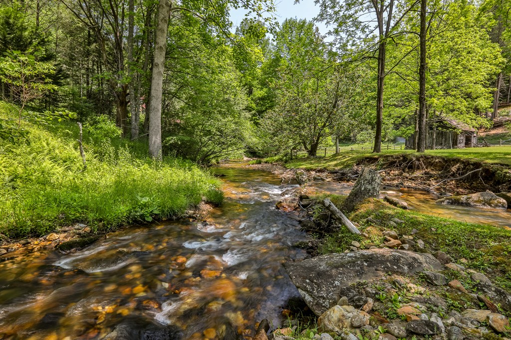 13111 Big Creek Road Cherry Log, GA 30522 - Photo 13 of 61