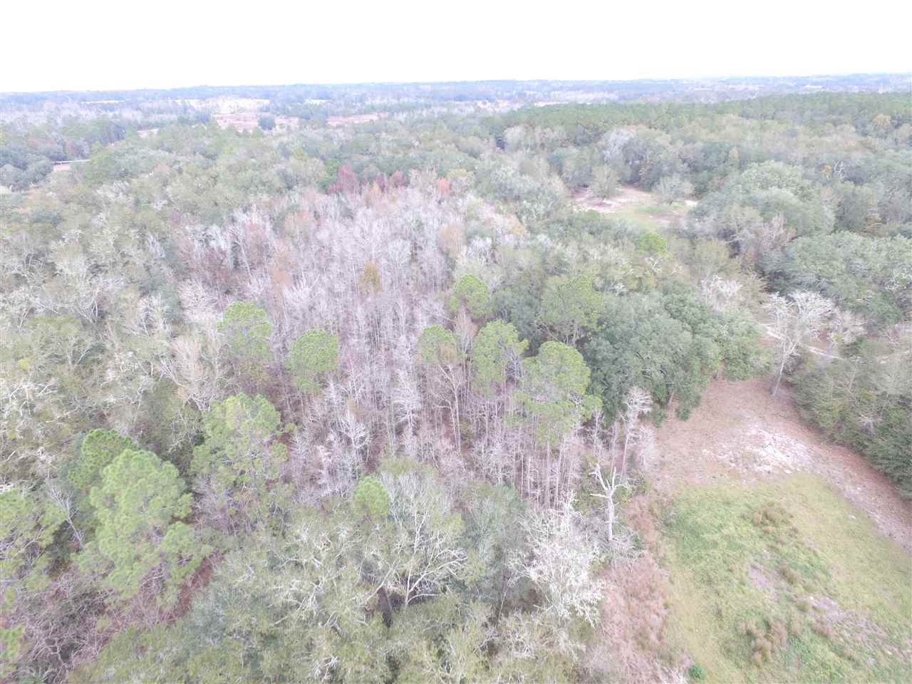 238 Southwest Gapac Trail Madison, FL 32340 - Photo 12 of 13