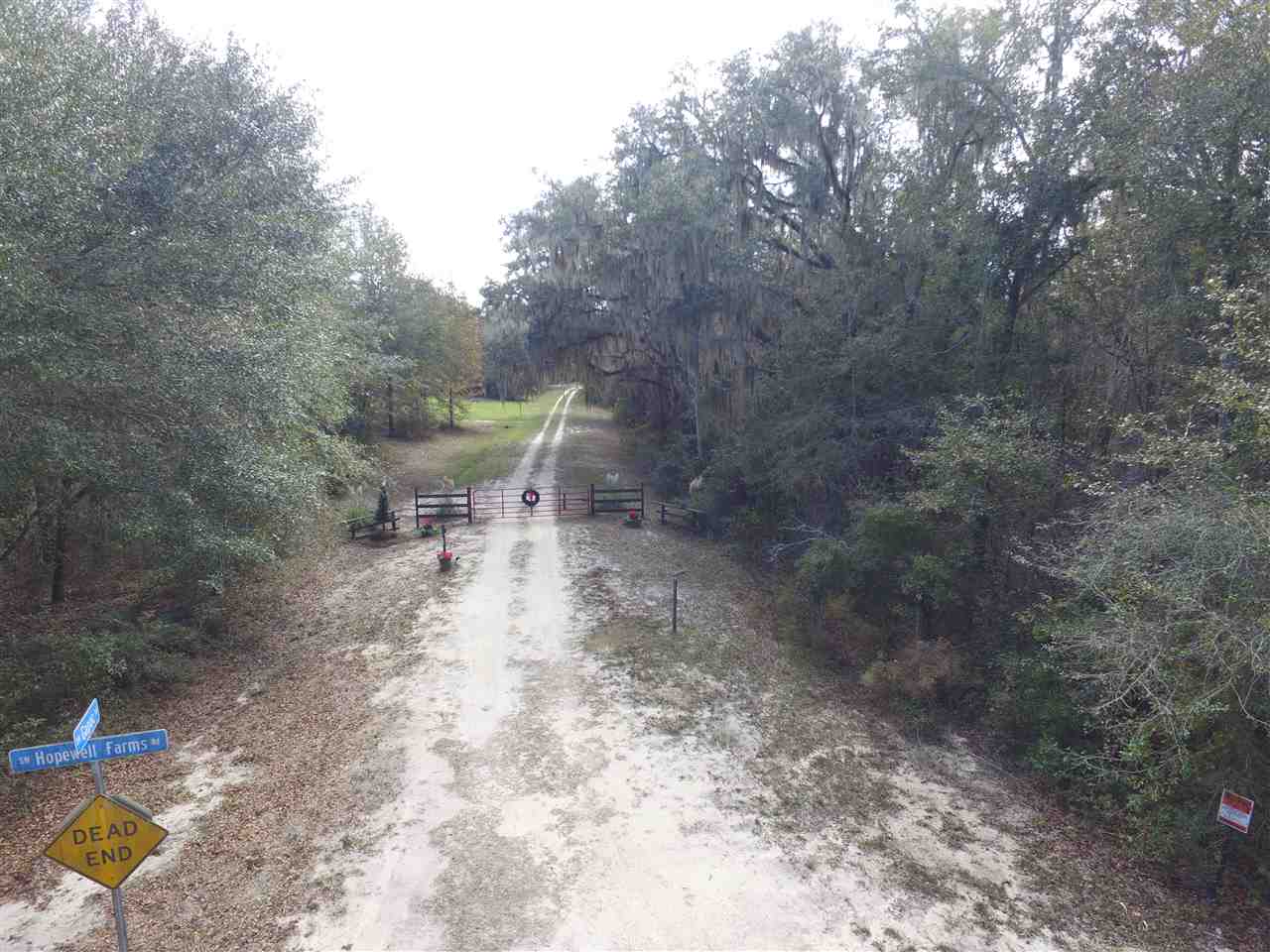 238 Southwest Gapac Trail Madison, FL 32340 - Photo 2 of 13