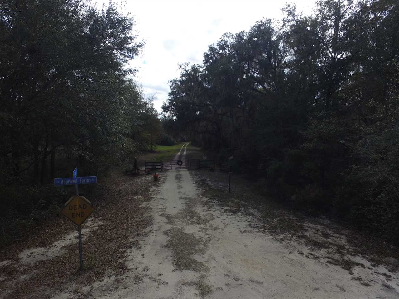 238 Southwest Gapac Trail Madison, FL 32340 - Photo 3 of 13