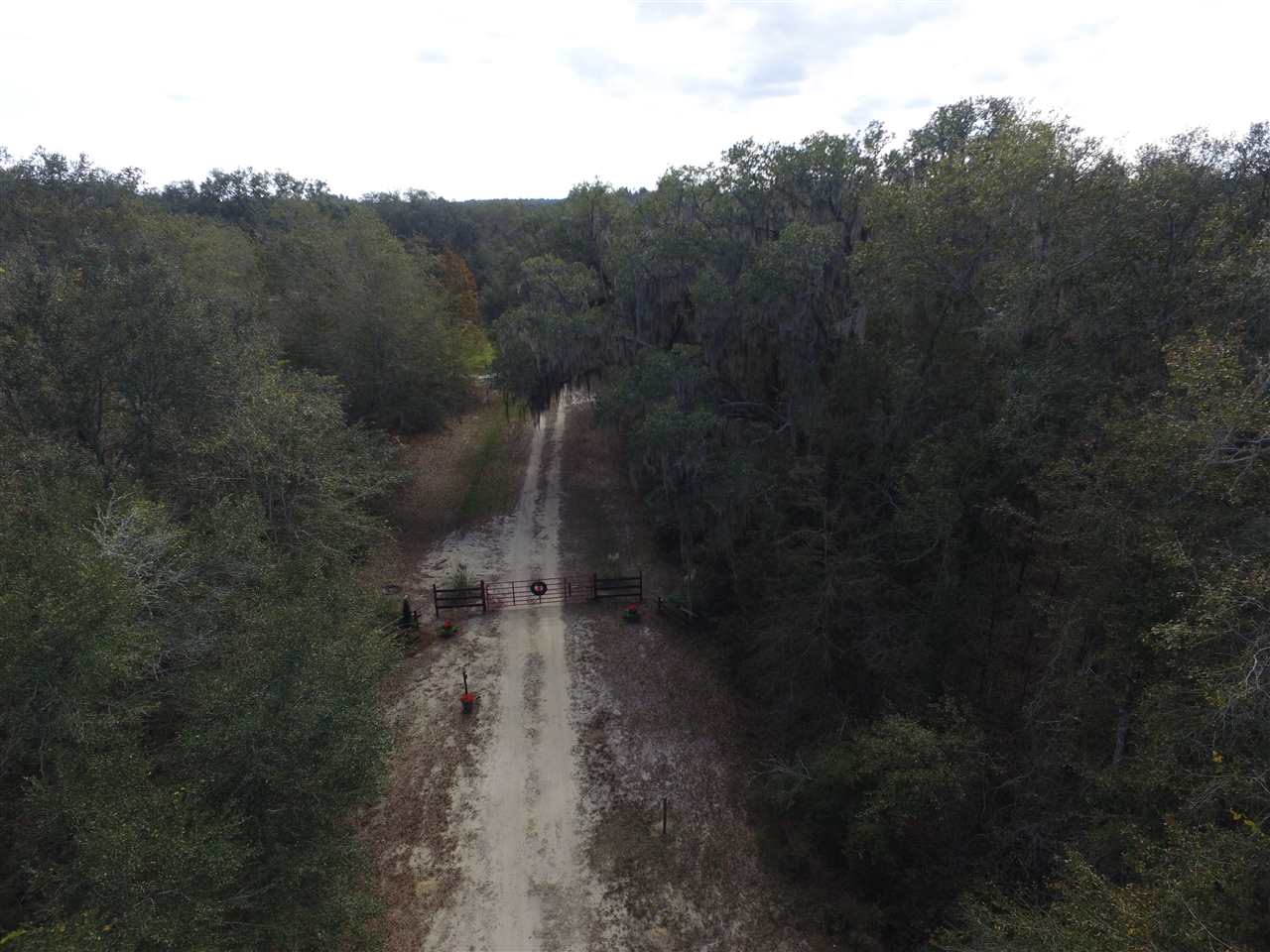 238 Southwest Gapac Trail Madison, FL 32340 - Photo 4 of 13