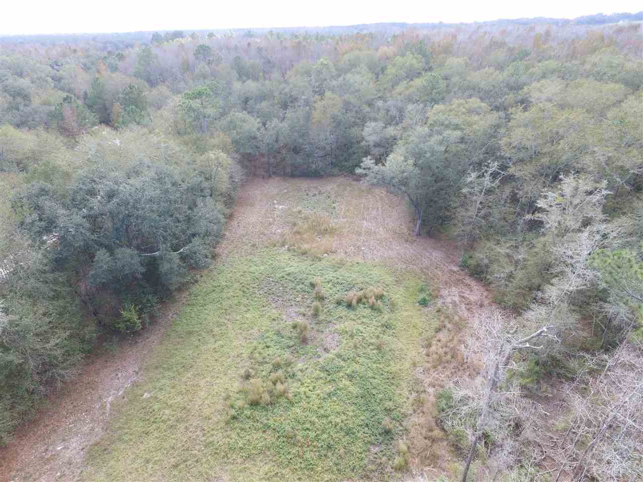 238 Southwest Gapac Trail Madison, FL 32340 - Photo 5 of 13