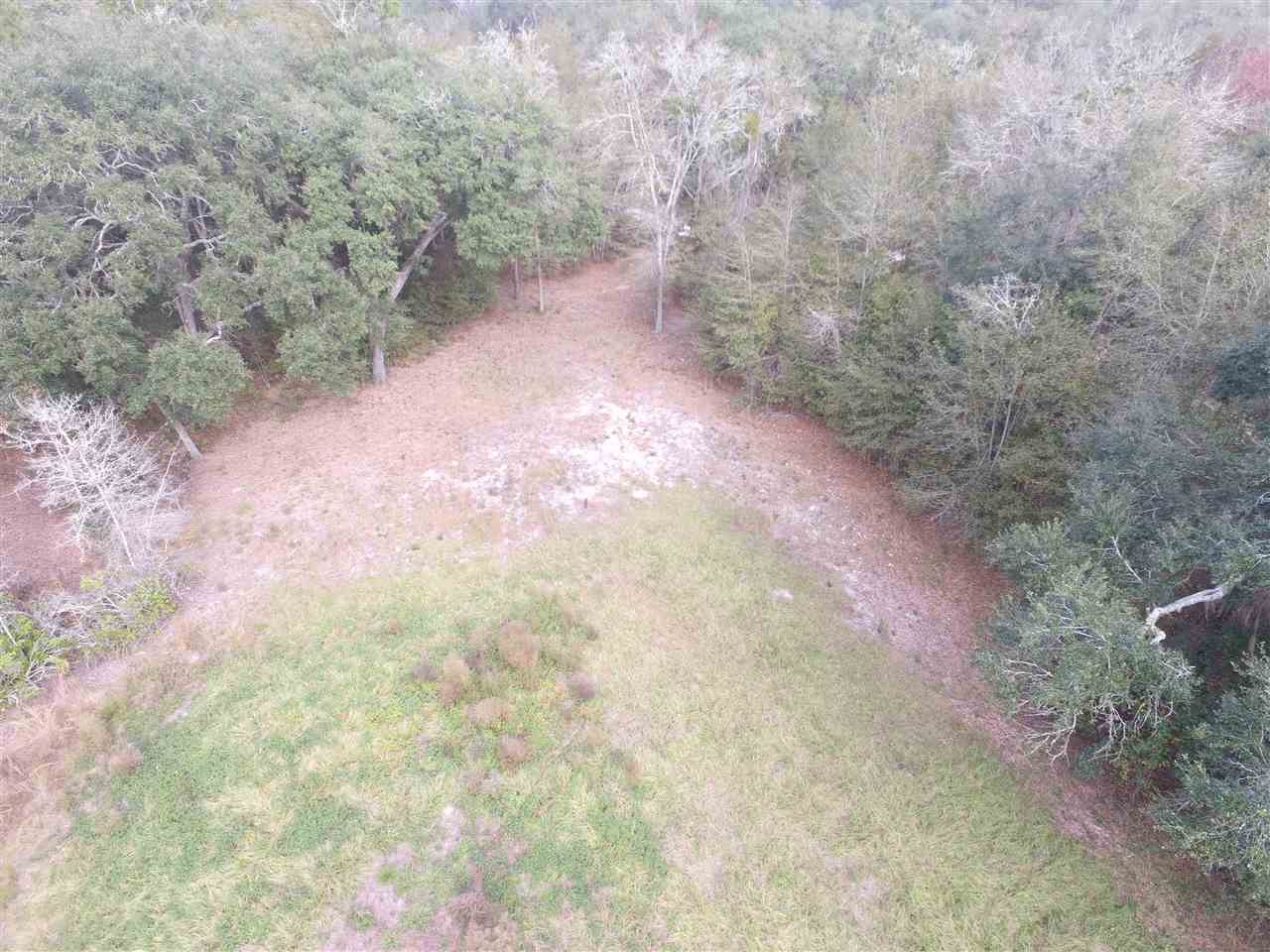 238 Southwest Gapac Trail Madison, FL 32340 - Photo 6 of 13