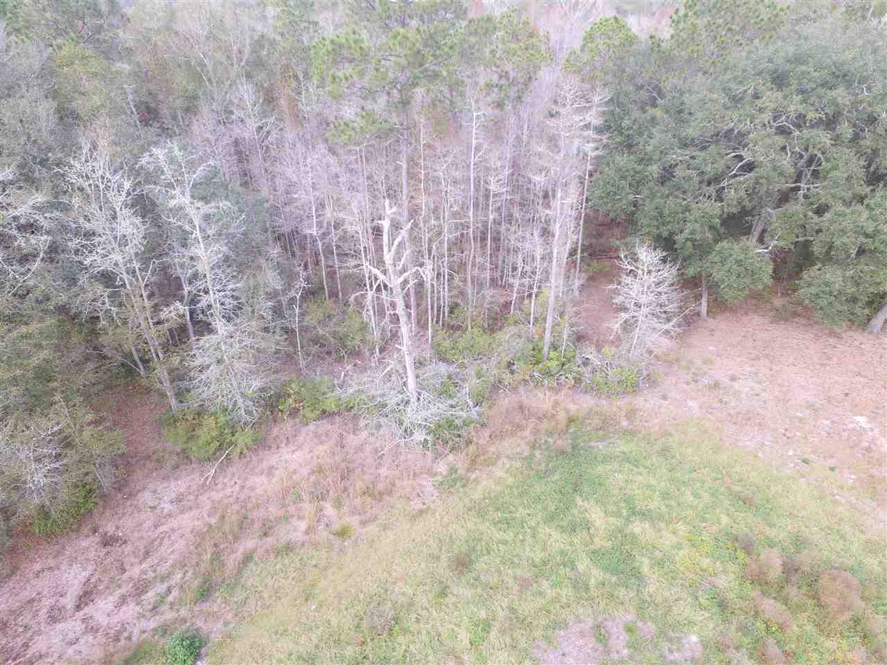 238 Southwest Gapac Trail Madison, FL 32340 - Photo 7 of 13