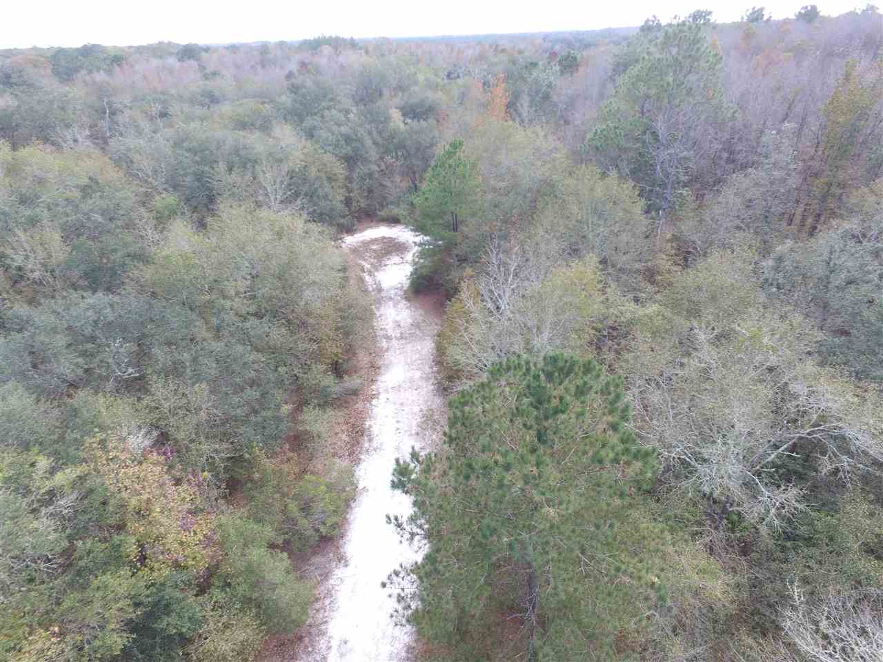 238 Southwest Gapac Trail Madison, FL 32340 - Photo 8 of 13