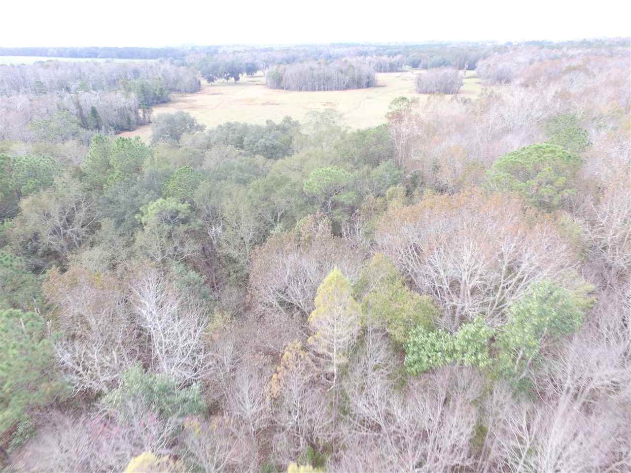 238 Southwest Gapac Trail Madison, FL 32340 - Photo 9 of 13