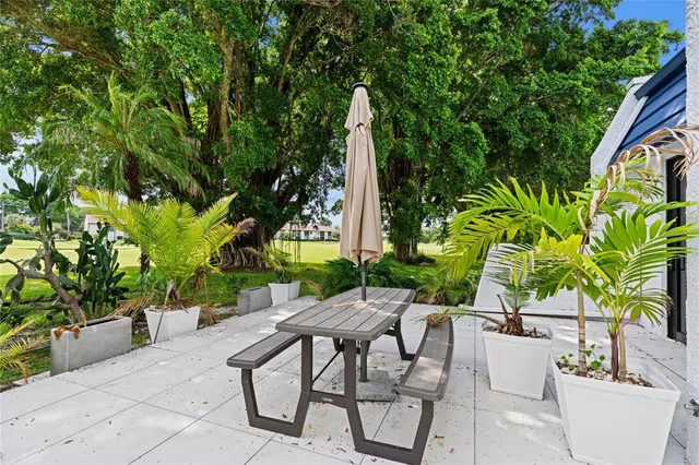 a view of a chairs and table in backyard