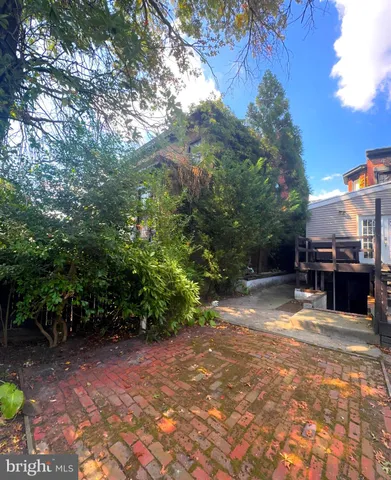 a view of a backyard with large trees