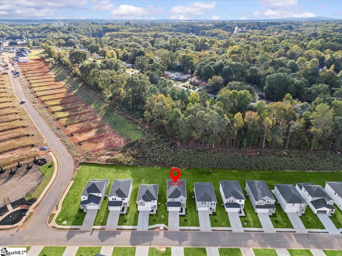 887 Penfold Pointe Wellford, SC 29385 - Photo 25 of 25