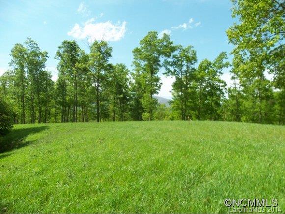Tract #3 North Tract Drive Mill Spring, NC 28756 - Photo 1 of 24