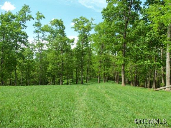 Tract #3 North Tract Drive Mill Spring, NC 28756 - Photo 2 of 24
