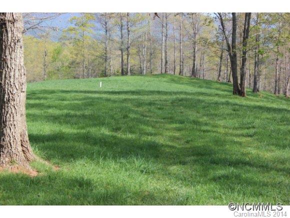Tract #3 North Tract Drive Mill Spring, NC 28756 - Photo 12 of 24