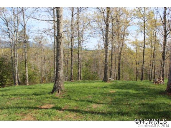 Tract #3 North Tract Drive Mill Spring, NC 28756 - Photo 13 of 24