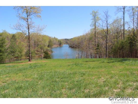 Tract #3 North Tract Drive Mill Spring, NC 28756 - Photo 14 of 24