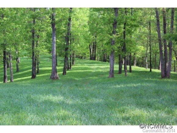 Tract #3 North Tract Drive Mill Spring, NC 28756 - Photo 15 of 24