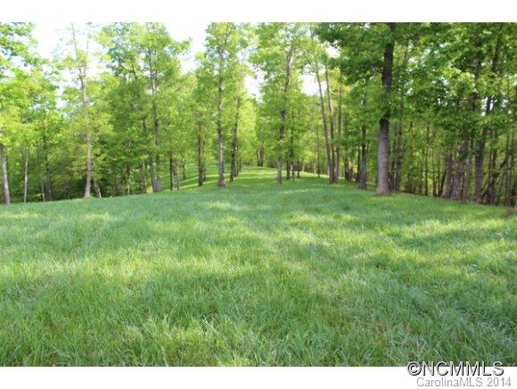 Tract #3 North Tract Drive Mill Spring, NC 28756 - Photo 16 of 24
