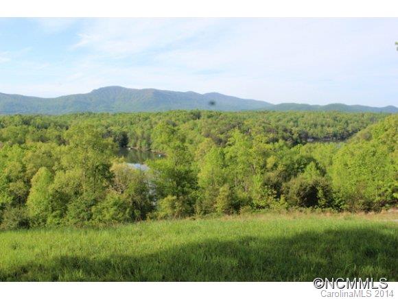 Tract #3 North Tract Drive Mill Spring, NC 28756 - Photo 18 of 24