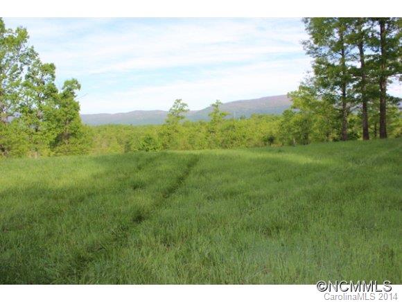Tract #3 North Tract Drive Mill Spring, NC 28756 - Photo 19 of 24