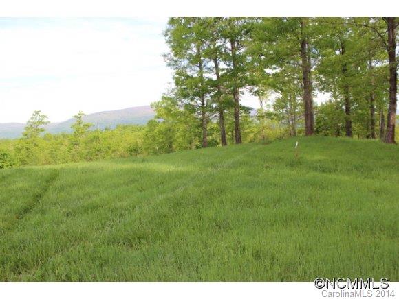 Tract #3 North Tract Drive Mill Spring, NC 28756 - Photo 20 of 24