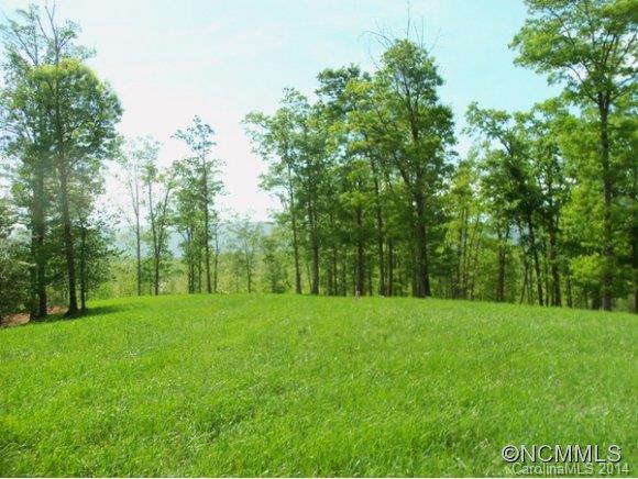 Tract #3 North Tract Drive Mill Spring, NC 28756 - Photo 3 of 24